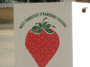 07 Straw Strawberry box36.jpg (42443 bytes)