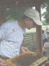 08 Alamance Farm Hertiage Day - Rick Dailey - 11.jpg (108289 bytes)