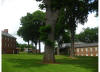 MHCO looking from left side of Chapel toward Cobb Center in bkgrd  09NC 32.jpg (50877 bytes)